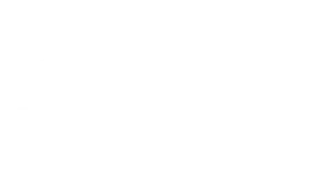 Salvo Logo